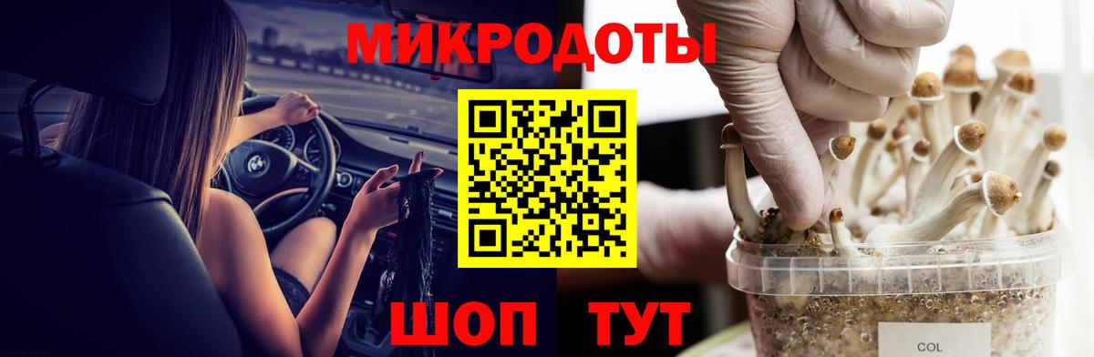 Галлюциногенные грибы Psilocybine cubensis  Псилоцибиновые грибы Psilocybe  Вход с VPN  Крымск 
